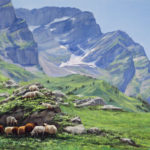 Moutons dans un Alpage : La Varre