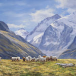Mouton dans un Alpage : L'Artpitetta 