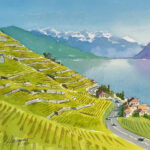 Lavaux