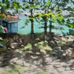 Yvonand - Cabanes