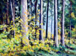 Automne au Montéla 14