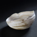 Cocoon IV